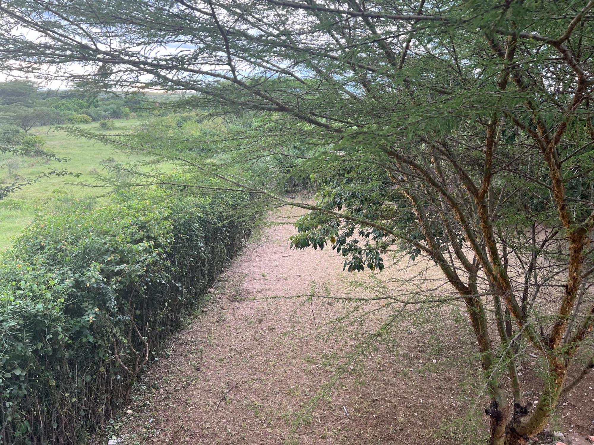 Olaloi Mara Camp Villa Maasai Mara Bagian luar foto